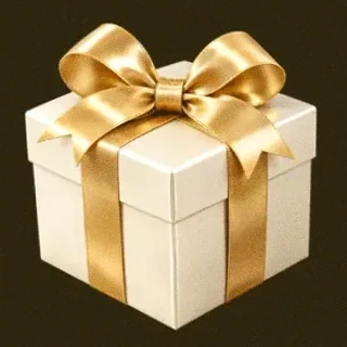 Wrapped gift box — Friday Friday